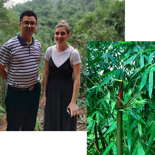 How we’re ensuring safe viscose production.