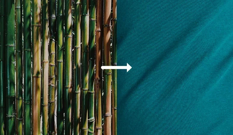 In search of the perfectly sustainable fabric