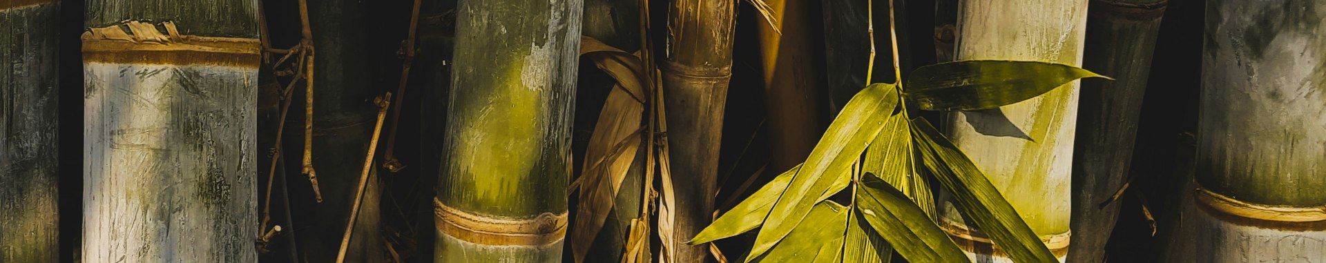 Bam Materials Banner Bam Clothing