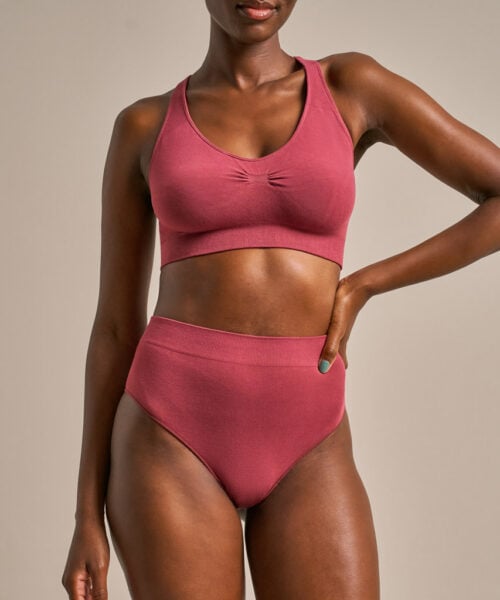 Bam2980 High Leg Brief Rose Garnet Clothing 1