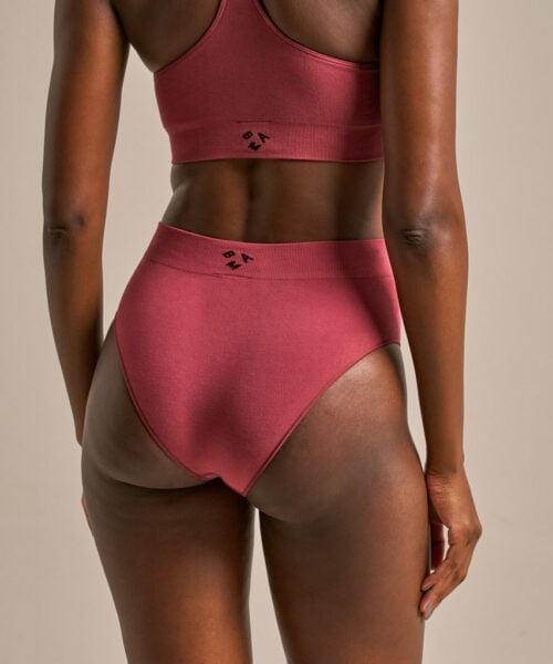 Bam2980 High Leg Brief Rose Garnet Clothing 2